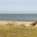 Niedersachsens Küsten: Möwengeschrei, Sonnenbaden, Ebbe und Flut